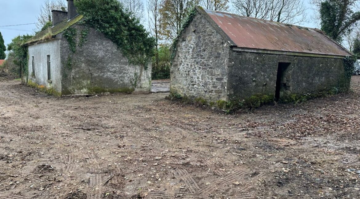 Carrickadorrish Cottage and shed